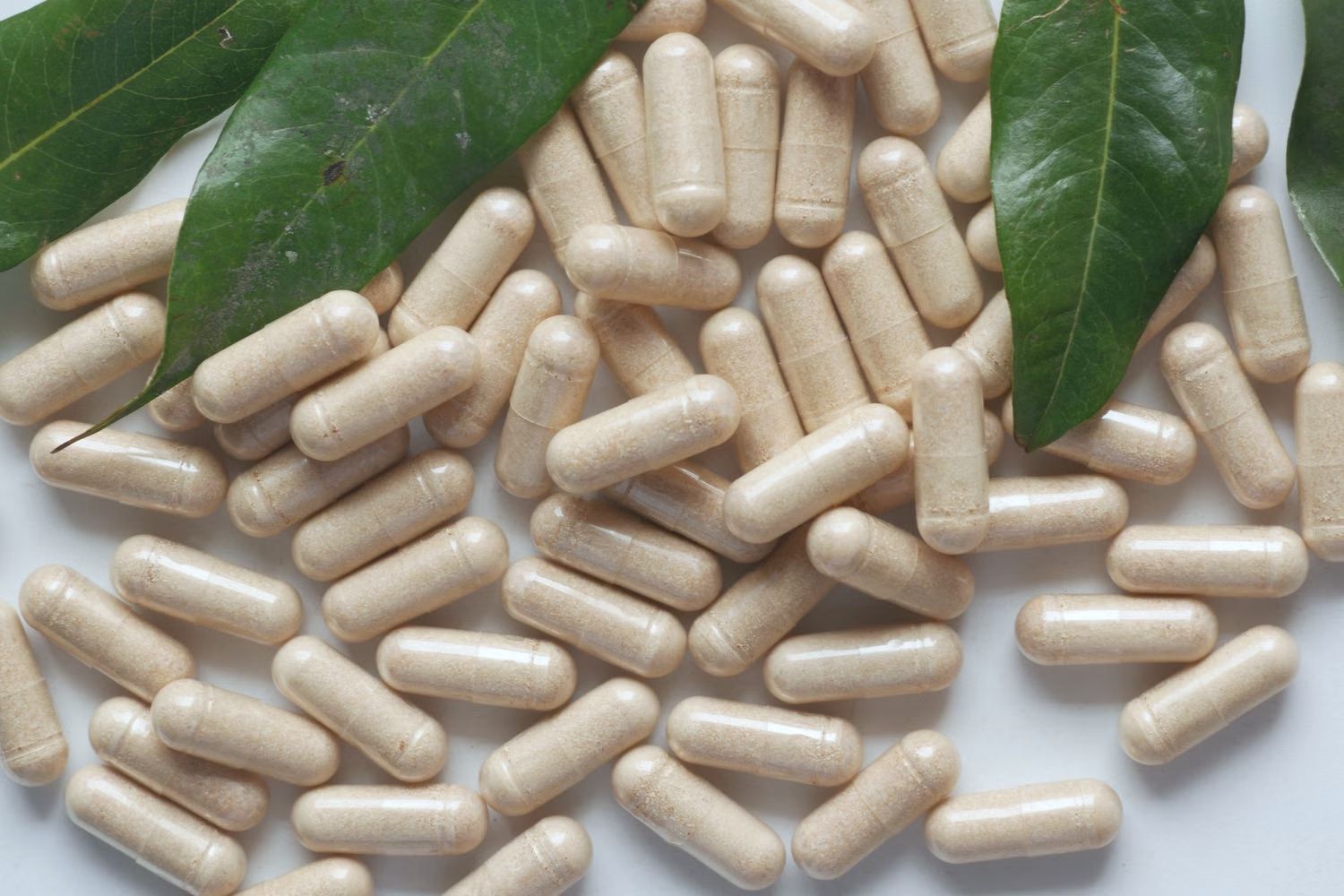 Hard Capsules